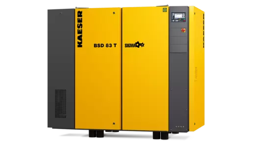 Kaeser BSD 83 Vidalı Hava Kompresörü